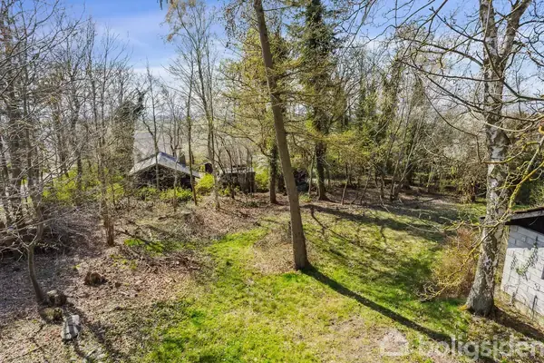 Et træhus står blandt høje, bladløse træer. Det omgivende område er præget af græs og spredt løv. Sollys filtrerer gennem grenene, og skaber et fredeligt, landligt miljø.