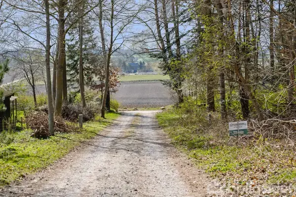 En grusvej fører gennem en skov af nøgne træer til åbne marker i horisonten. Et skilt til højre viser teksten: "Steen Møller Ejendomsmægler."