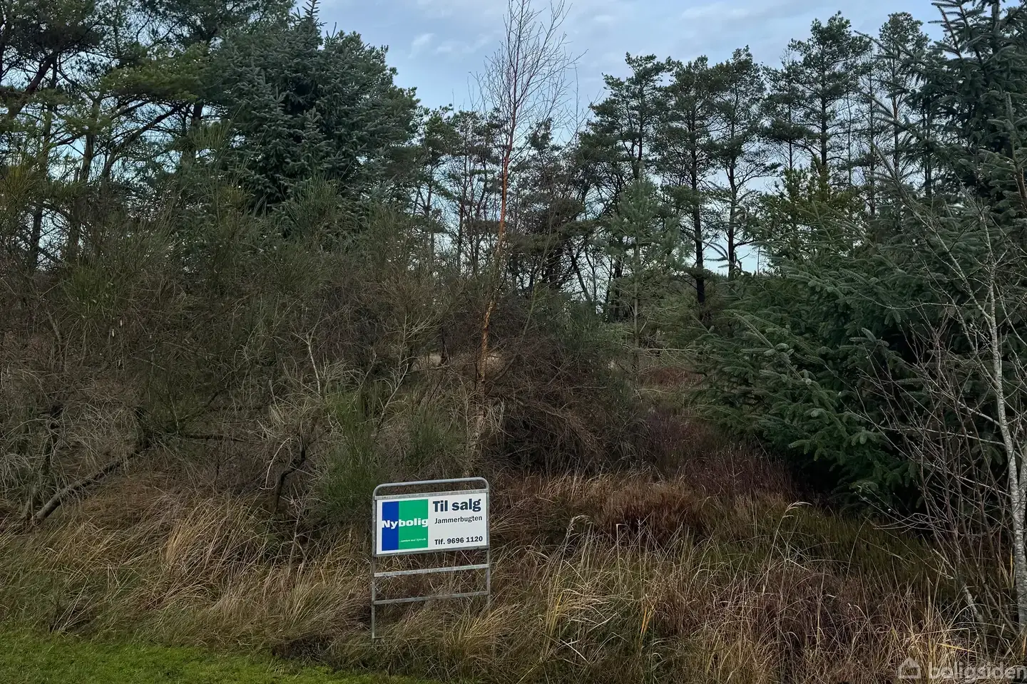 Fritidsgrund på Blåbærstien 4, 9690 Fjerritslev