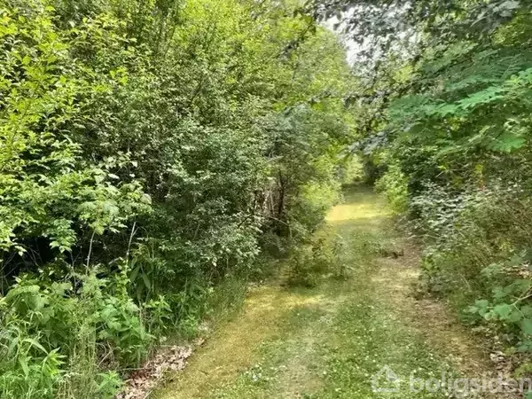 En græssti slingrer ind i en tæt skov fyldt med frodigt grønt løv. Vegetationen omkranser stien, skaber en naturlig tunnel.