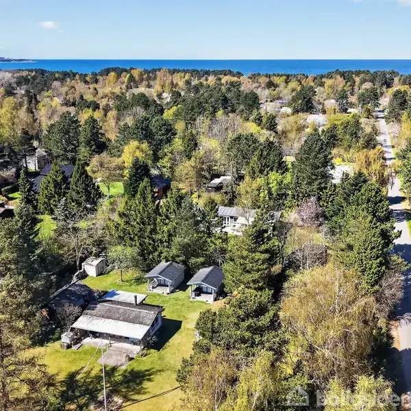 Boliger ses blandt grønne træer, liggende spredt i et skovområde. En vej strækker sig gennem landskabet. I baggrunden ses havet under en klar blå himmel.