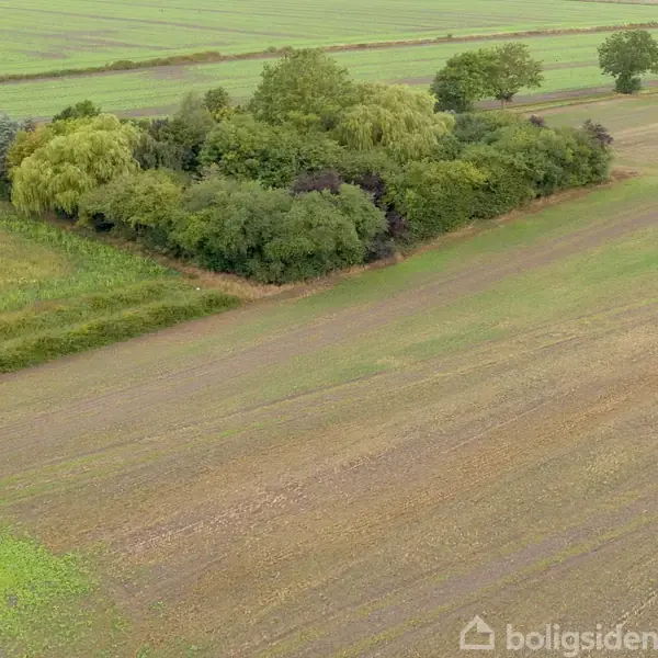 En grøn træbevoksning omkranser en mark under dyrkning med synlige pløjespor. Marken strækker sig over et stort område med en blanding af forskellige typer vegetation i nærheden.