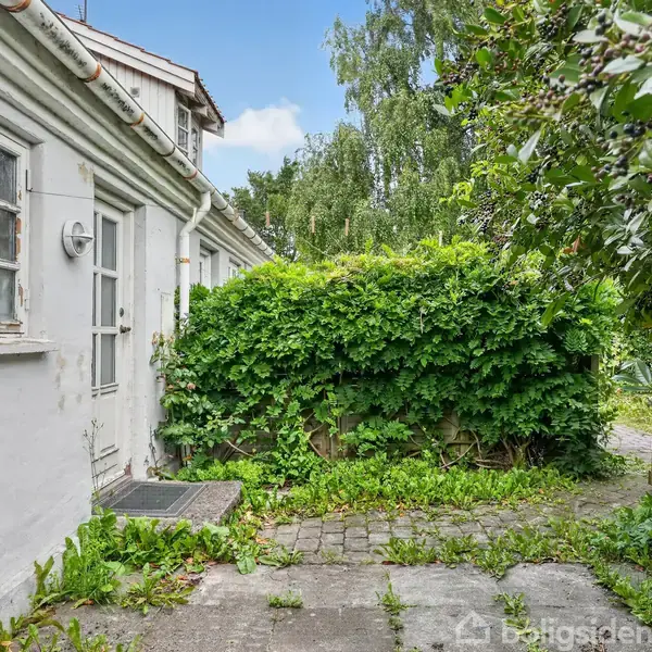 Et hvidt hus har vinduer og en terrasse omgivet af grønne buske og træer. Fliser danner en sti langs huset, og omgivelserne er frodige med vegetation.
