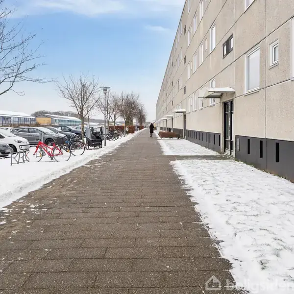 En lang, snebeklædt gangsti med opmarcherede biler til venstre. Bygningen til højre strækker sig i horisonten. Træer uden blade ses langs stien, og himlen er lys.