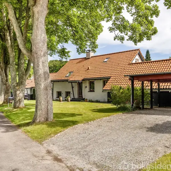 Hus med rødt tegltag og hvid facade står ved siden af grusindkørsel, omgivet af græsplæne og træer. En række af store træer følger vejen til venstre.