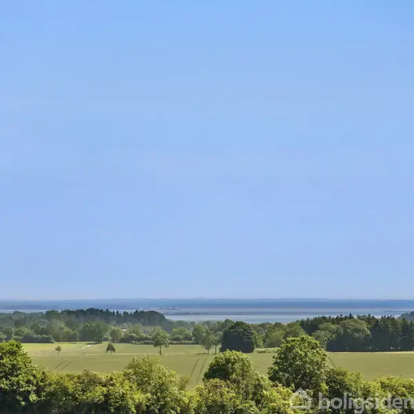 Markerede træer står stille i et frodigt landskab med åbne marker, hele scenen indrammet af en klar blå himmel i baggrunden.