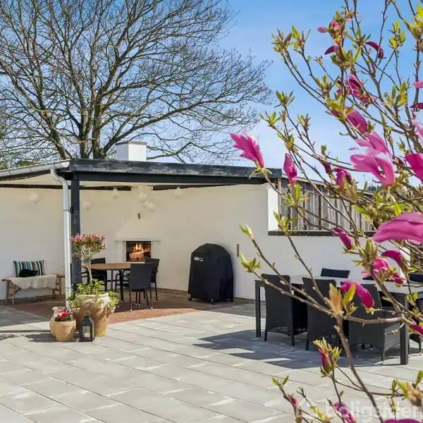 Terrasse med spisebord og stole; i hjørnet et udendørs pejsested. Træer uden blade i baggrunden. Blomstrende busk med lyserøde blomster forrest. Klart vejr og blå himmel.