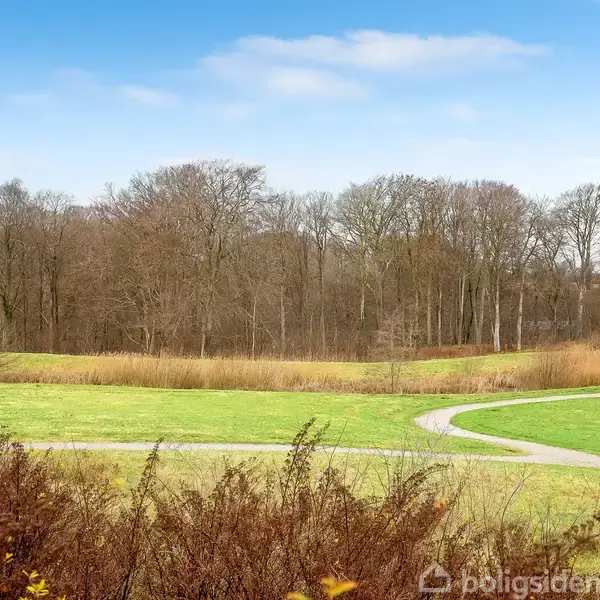 En snoet sti krydser en grøn eng foran en skov af nøgne træer på en klar dag med blå himmel.