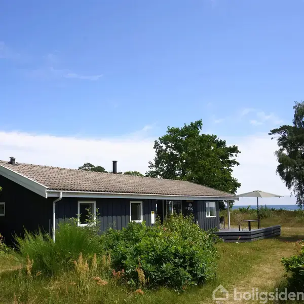 Et sort sommerhus med gråt tag står stille omgivet af grønne træer og buske. Ved siden af huset er en terrasse med parasol. Klar, blå himmel over det hele.
