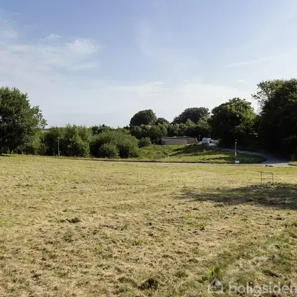 Græsplæne strækker sig fladt over et åbent område med spredte træer i baggrunden under en blå himmel. En sti løber til højre, og en skraldespand står ved kanten.