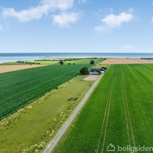 En landejendom med marker strækker sig mod havet i baggrunden. Vejen fører til ejendommen omgivet af grønne marker og en blå himmel.