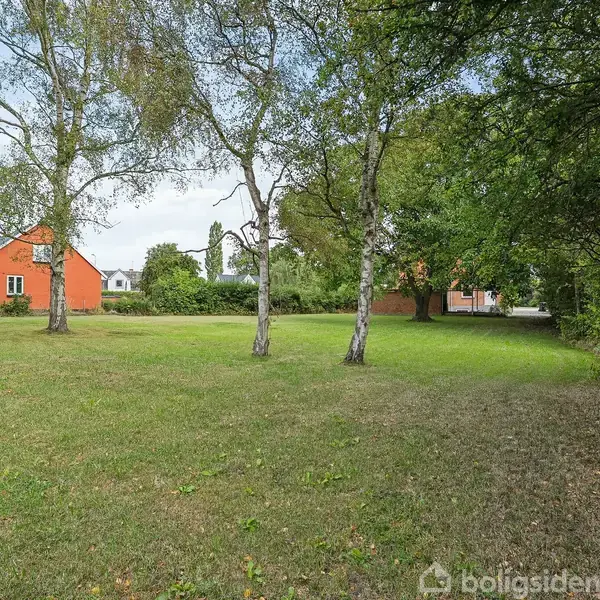 Græsplæne med tre slanke træer står stille, omgivet af buske. I baggrunden ses et rødt hus med blå himmel og andre bygninger i et åbent, grønt område.
