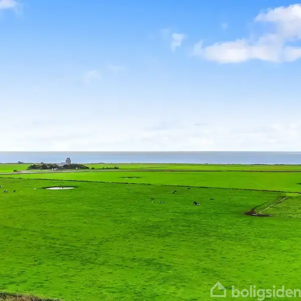 Grønt landskab strækker sig mod horisonten med havudsigt i baggrunden. Enkelte dyr græsser på marken under en blå himmel med lette skyer. Ingen tekst er til stede.