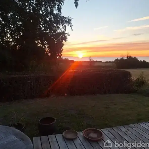 Solnedgang lyser op himlen i orange og gule nuancer. Haven i forgrunden er omgivet af buske, mens træer omkranser landskabet.