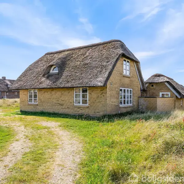 Stråtækt hus står stille i et grønt landskab med en grusvej foran. I baggrunden står et dansk flag, mens flere huse ses i horisonten under en blå himmel.
