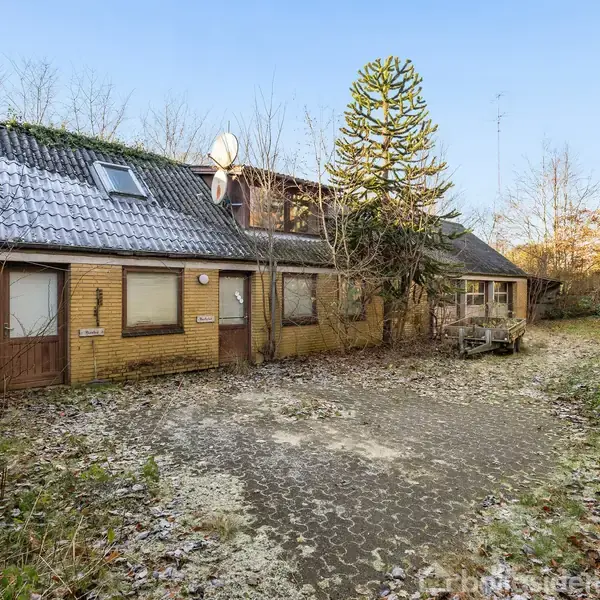 En murstensbygning står tom og forladt, med tilgroet gårdsplads. Huset har to etager med mørkt tag og satellitantenne. Omgivet af høje træer og buske, i vinterligt landskab.