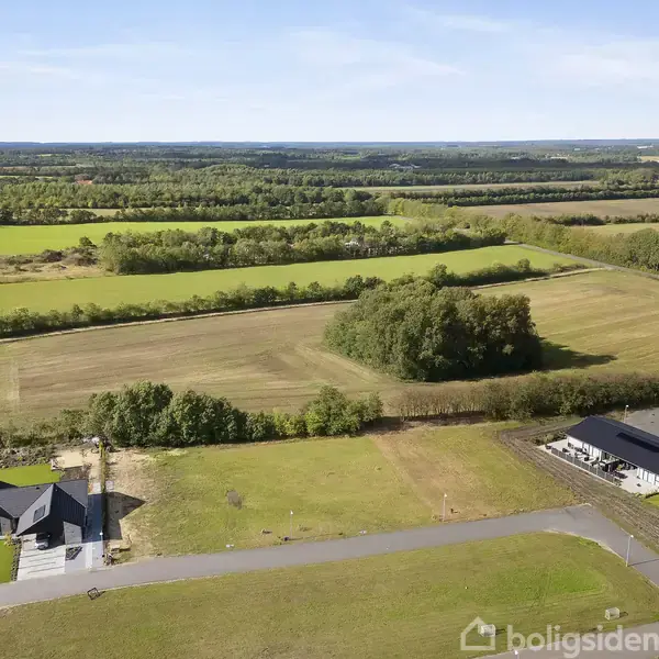 Huse står stille i kanten af åbne marker og græsarealer med skov i baggrunden. Sollys oplyser landskabet under en klar blå himmel.