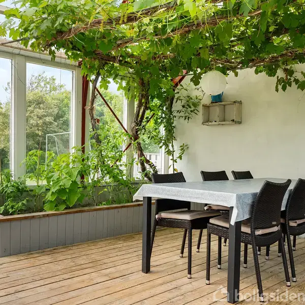 Et spisebord med seks stole står i et lyst drivhus. Vinranker hænger fra loftet, og grønne planter vokser i en kasse ved siden af store vinduer.