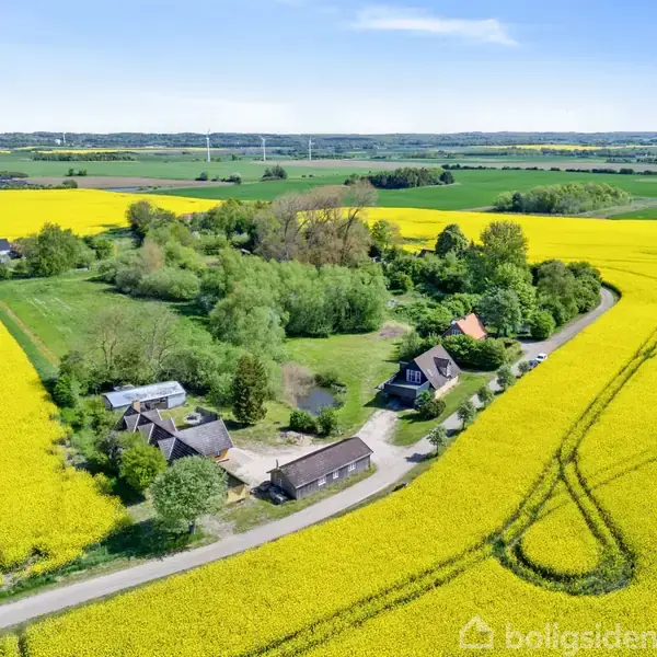 En gård omgivet af frodige træer ligger midt i en stor gul rapsmark. I baggrunden kan man se flere grønne marker og en landsby.