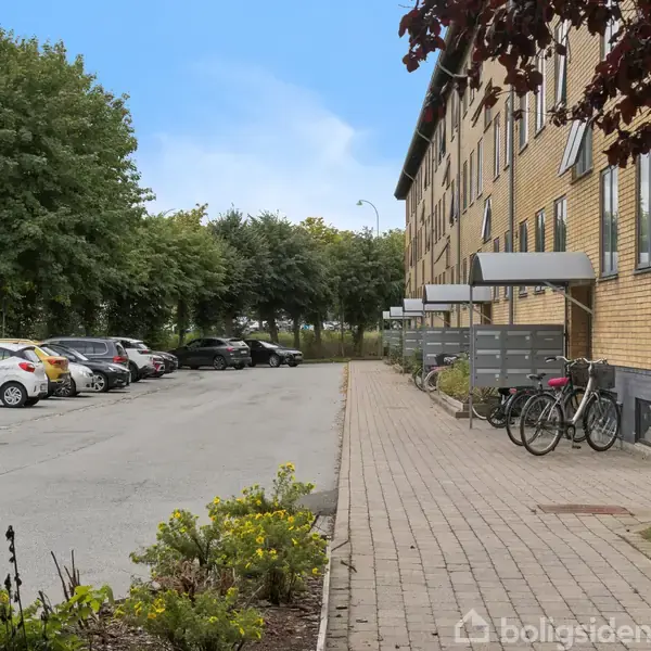 En række gule murstensbygninger står ved en flisebelagt sti. Cyklerne er parkeret foran bygningen. Til venstre holder biler på en asfalteret parkeringsplads, omgivet af træer.