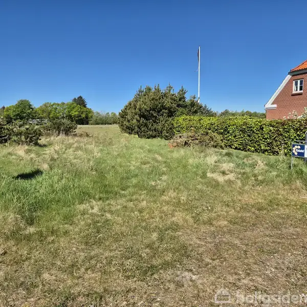 Grøn græsplæne med buske og træer i baggrunden; til højre ses et murstenshus med rød tag. Et skilt med teksten "Til salg" står ved hækken.