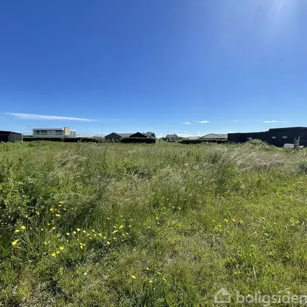 En stor mark fyldt med højt græs og gule blomster befinder sig i et åbent område under en klar blå himmel, omkranset af fælleshuse i baggrunden.