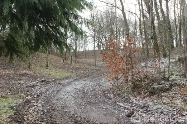 Landejendom på Rævkærvej 21, 9640 Farsø