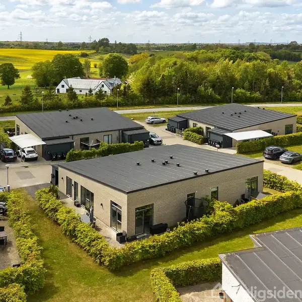 Flere moderne enfamiliehuse med flade tage står på rad i et grønt landskabsområde. Omkringliggende hække adskiller ejendommene, og biler er parkeret på indkørslerne.