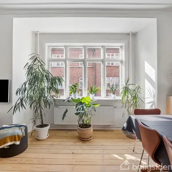 Stue med træplankegulv, hvor store grønne planter står i vinduet. En fladskærm hænger på væggen, mens et bord med stole er placeret til højre.