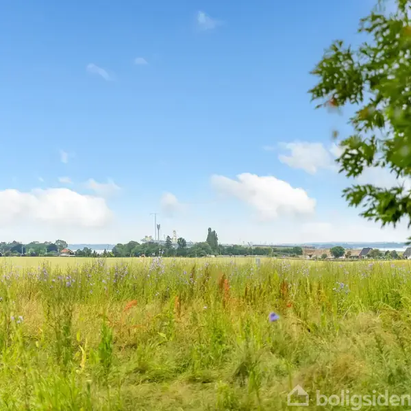 En blomstereng strækker sig mod horisonten under en klar blå himmel med få skyer, omgivet af træer og marker i det fjerne.