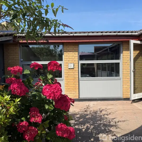 En etplans gul murstenshus med store vinduer og åben dør står i solen. Foran huset er der blomstrende røde hortensia. Skygger fra planter falder på flisebelægningen.