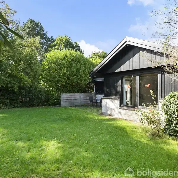 Et sort træhus med store vinduer står i en solrig, grøn have omgivet af tæt løv og træer. Huset har en terrassedel.