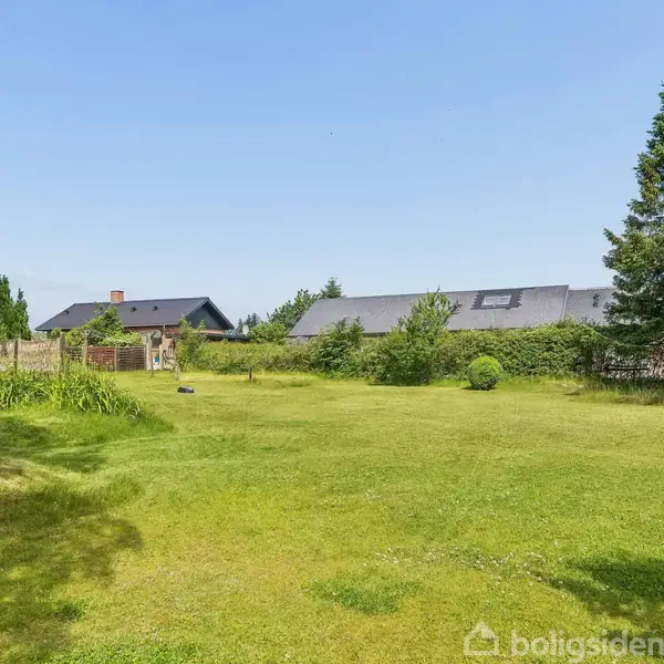 En græsplæne strækker sig i en solrig have omringet af træer og buske, med et hus i baggrunden under en klar, blå himmel.