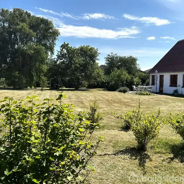 Hus står stille i en stor, åben have med grønne buske og træer. Hvide vægge og tag omgiver et solbeskinnet udendørsareal, hvor et bord med stole er placeret.
