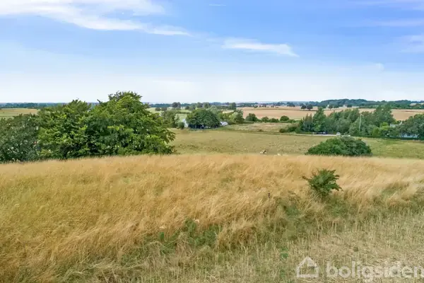 Et hvidt bondehus med stråtag og moderne tilbygning, omgivet af frodige grønne træer og marker, ligger i det åbne landskab.
