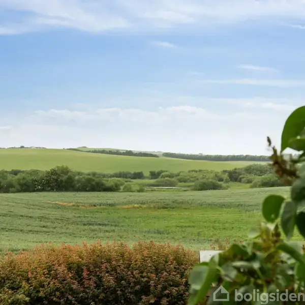 Grønne marker strækker sig over bakkede landskaber under en klar blå himmel. Forgrunden har tæt grønt løv, og horisonten viser en række træer.