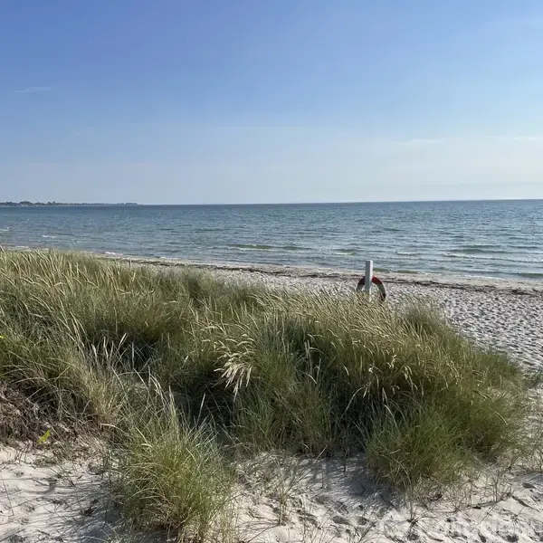 Strand med græsbevoksning i forgrunden, havet roligt i baggrunden. Livredningsbøje står ved vandkanten. Himlen er klar og solrig. Ingen synlig tekst.