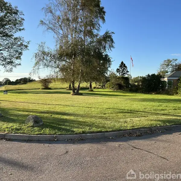 Græsplæne med et par træer står fredfyldt i en solrig park; omgivende buske og en dansk flagstang ses i baggrunden.