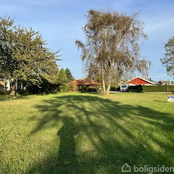 Græsplæne belyst af sollys med skygger fra træer, omringet af huse med røde tage og enkelte biler, og et skilt på plænen. Det er en fredelig beboelseskontekst.