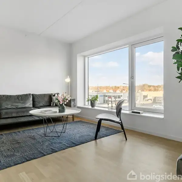 Sofa står i en stue ved siden af et stort vindue med udsigt over tage og træer. Ved siden af står en stol og et sofabord på et tæppe. En stor grøn plante pryder hjørnet.