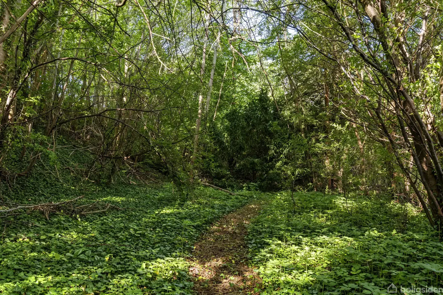 Helårsgrund på Hovevej 47, 3670 Veksø Sjælland
