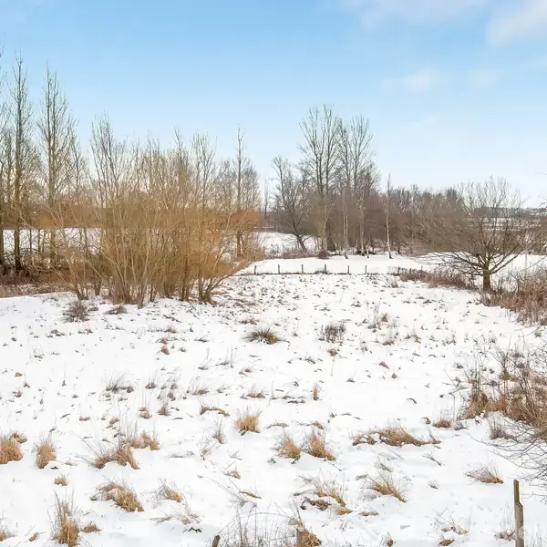 Et snedækket landskab omfatter træer og buske, hvor et lavt træhegn indrammer området. Himlen er klar og blå. Ingen tekst er til stede.
