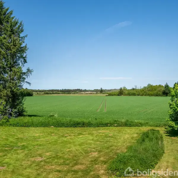 Græsplæne med række tørresnore, omgivet af høje, frodige træer til venstre og højre, med udsigt over en stor, grøn mark under en klar blå himmel.