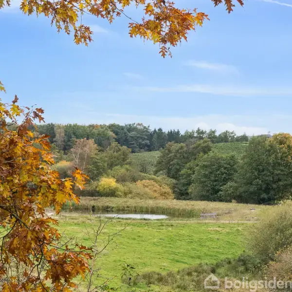 Træ med orange blade – står stille i efterårslandskab – omgivet af grønne marker, en dam, skov og blå himmel.