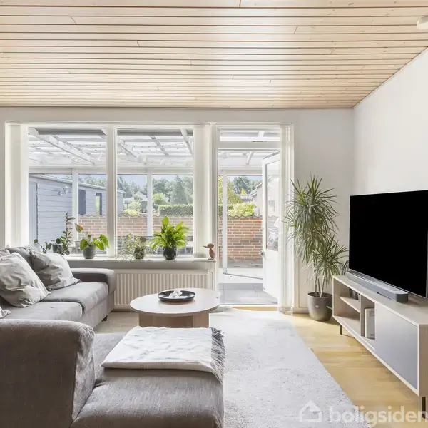 Stue med stor grå sofa og sofabord placeret foran et tv på et hvidt tv-møbel. Store vinduer og dør åbner ud til terrasse med planter. Plante i hjørnet.