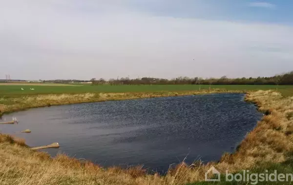 En lille sø ligger stille omgivet af græs og marker. I baggrunden strækker markerne sig ud mod en horisont med træer.