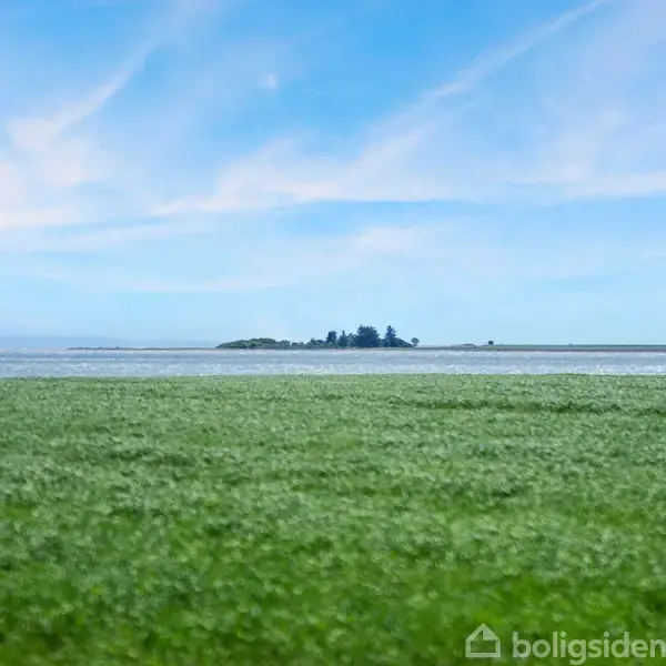 Græsareal strækker sig mod havet med en ø i baggrunden. Blå himmel og få skyer skaber en fredelig atmosfære.