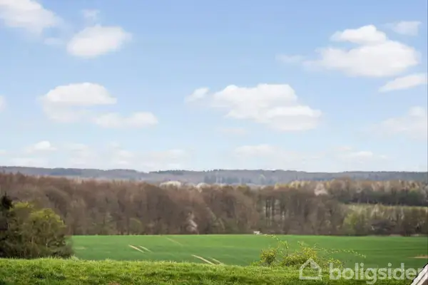 En grøn mark strækker sig foran en skov, med spredte skyer på en blå himmel.