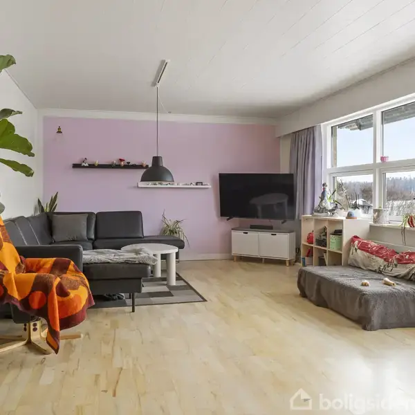 Stue med sort sofa og farverigt tæppe, fladskærms-tv på væggen, store vinduer til højre, planter på hylde og gulv, og en pude på gråt møbel ved vinduet.