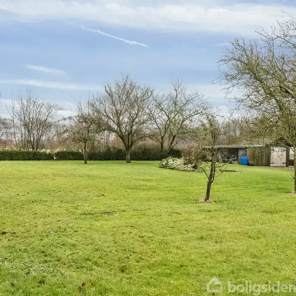 En grøn græsplæne strækker sig foran flere spredte, nøgne træer. I baggrunden ses et lille bygningskompleks og flere buske, alt under en blå himmel.